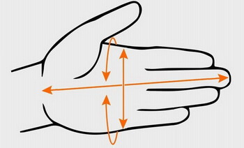 Определение размера перчаток для дайвинга